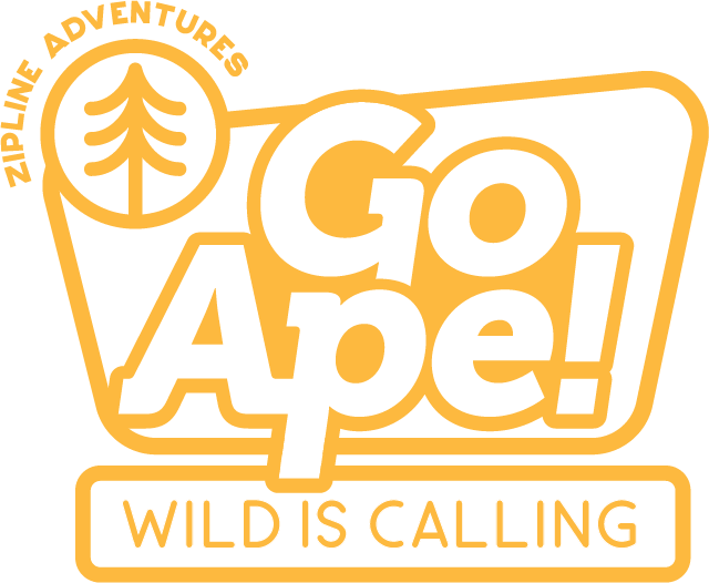 Go Ape Zipline Adventures